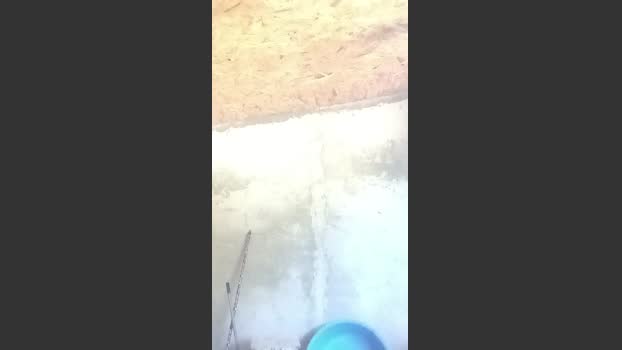 florin166 22-09-2025 Recorded Video fuckhard