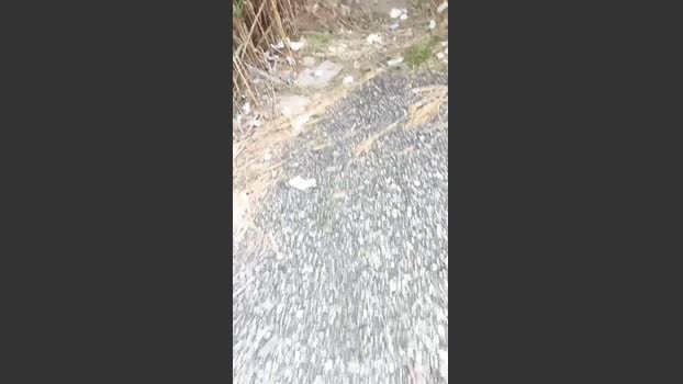 livenews1 22-09-2025 Recorded Video kiss