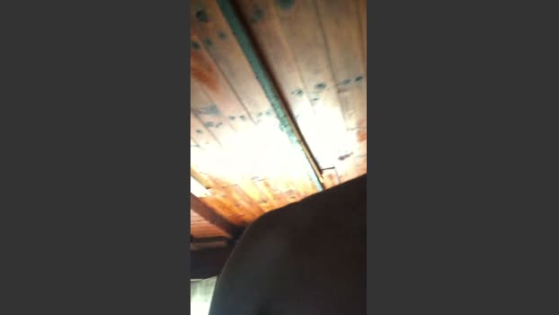 Bdsmdrake 23-09-2025 Recorded Video jerking