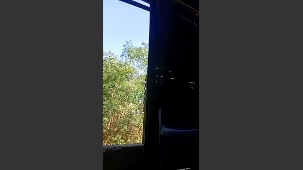 Richard_2 24-09-2025 Recorded Video bigcock