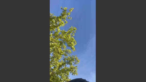Jorge21___ 25-09-2025 Recorded Video ass