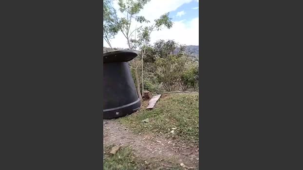 Remote_live 24-09-2025 Recorded Video fingers