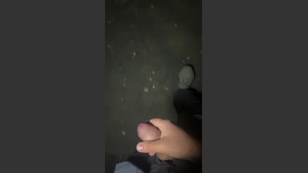 Zayx 25-09-2025 Recorded Video lovense