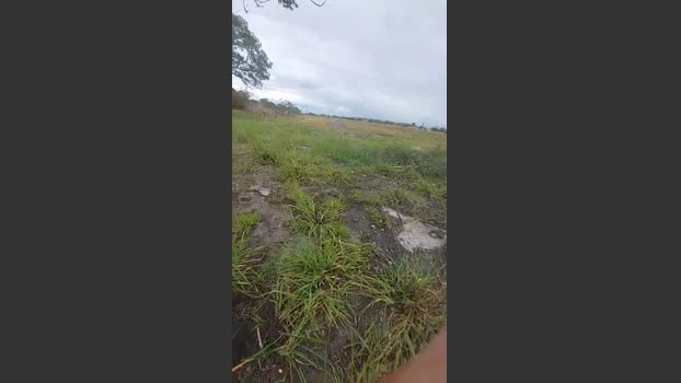 jao_magrao 25-09-2025 Recorded Video Cam