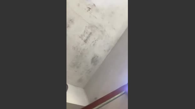 tattobadboy1 24-09-2025 Recorded Video harddick