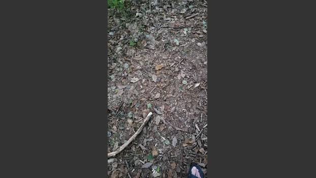 slaven19 25-09-2025 Recorded Video Show