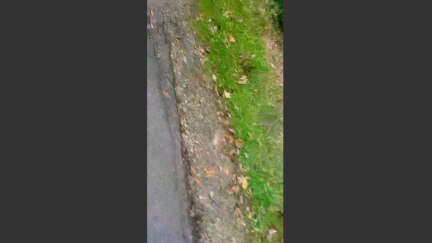 slaven19 26-09-2025 Recorded Video suck