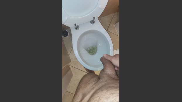 Vittosto 27-09-2025 Recorded Video bigass