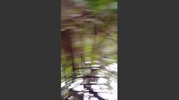 kinkycouple4mo4 28-09-2025 Recorded Video wank