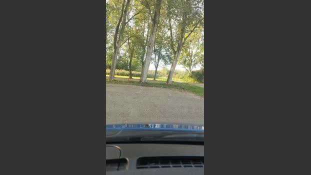 Slaafdez 29-09-2025 Recorded Video harddick
