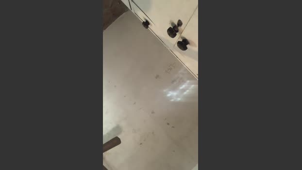 Tatusexybebe 28-09-2025 Recorded Video fuckme