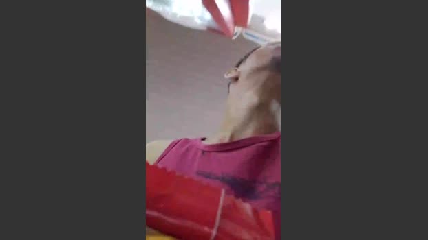 victor62Go 28-09-2025 Recorded Video lovense