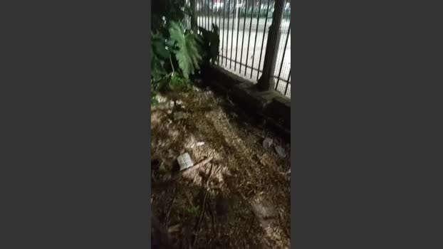 Asasass 30-09-2025 Recorded Video blowjob