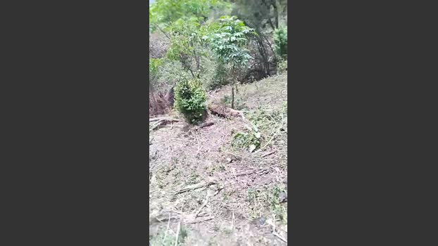Remote_live 29-09-2025 Recorded Video Webcam