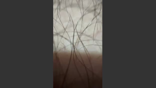 cazzo18cm3 29-09-2025 Recorded Video Show