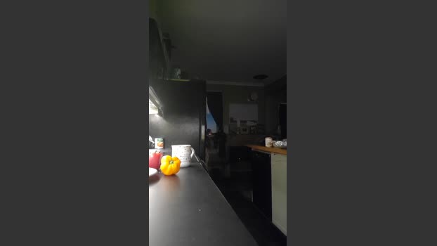 4_Fox_sakes 01-10-2025 Recorded Video play