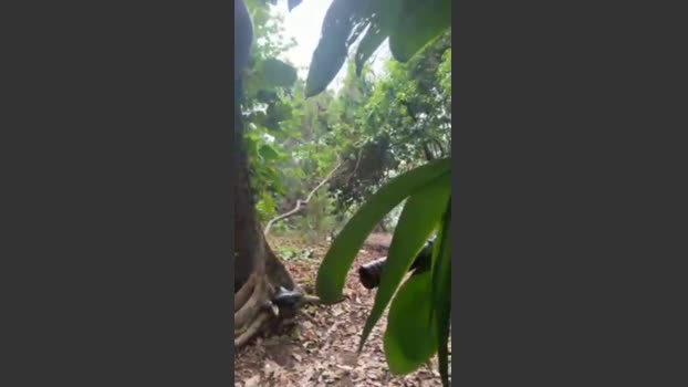 wagnermourae 02-10-2025 Recorded Video sexybody