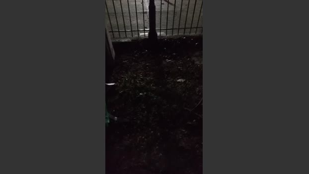 Asasass 04-10-2025 Recorded Video jackoff