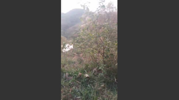 Daddy_capixaba 03-10-2025 Recorded Video show