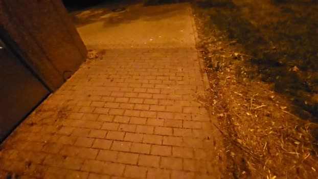 axelblows 04-10-2025 Recorded Video natural