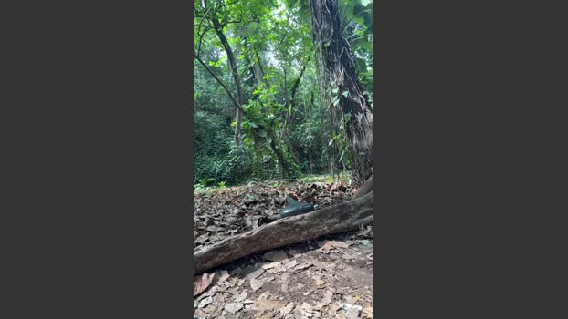 wagnermourae 03-10-2025 Recorded Video nasty