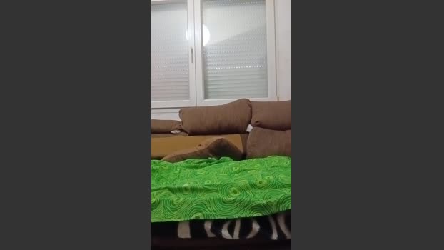 Instar 05-10-2025 Recorded Video fingering