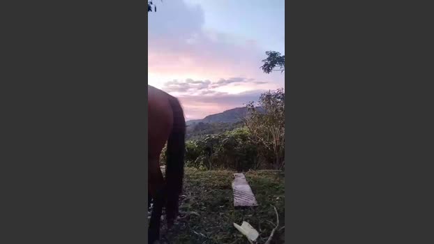 Remote_live 05-10-2025 Recorded Video moan