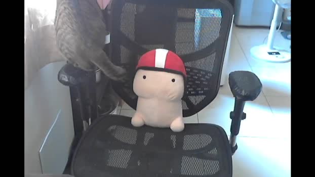 lQAQl 05-10-2025 Recorded Video naked
