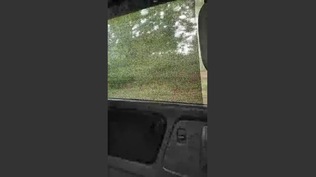 zachs4545 04-10-2025 Recorded Video Show