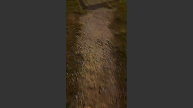 Edowalker 06-10-2025 Recorded Video hardcock