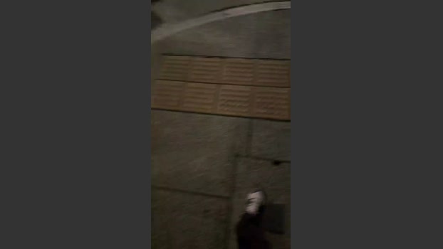 Edowalker 07-10-2025 Recorded Video strip