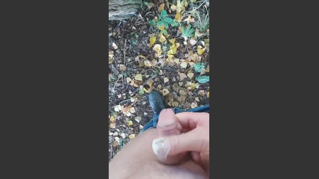 Gym2 07-10-2025 Recorded Video Cam