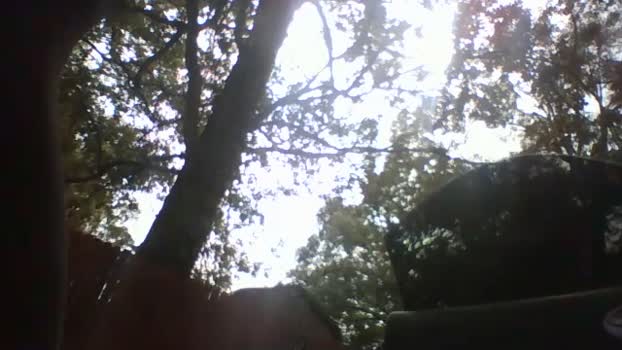 Littleguy25 06-10-2025 Recorded Video jerkoff
