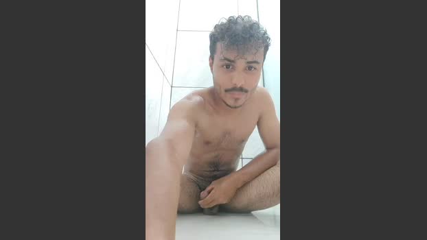 LoboDN1