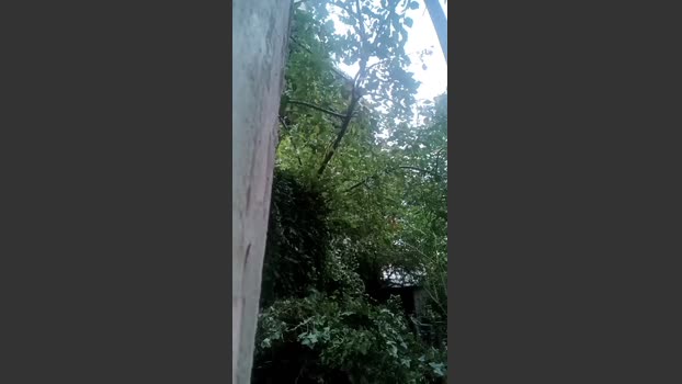 jef34 08-10-2025 Recorded Video yummy
