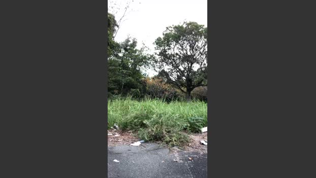 takahisa 08-10-2025 Recorded Video natural