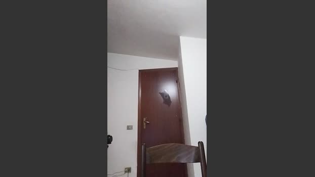 casertaxxx 09-10-2025 Recorded Video jerkoff