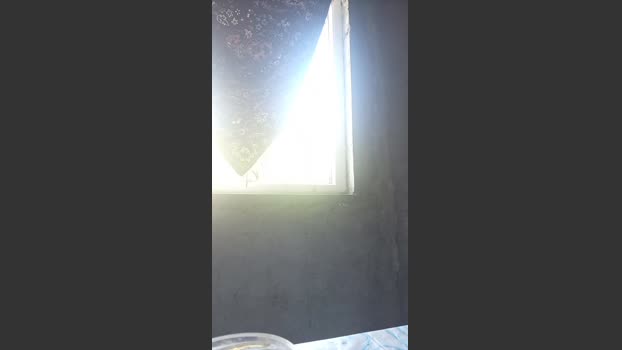 florin166 10-10-2025 Recorded Video hardcock