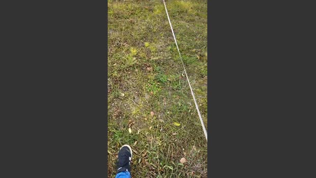 tomsauwer 10-10-2025 Recorded Video ass