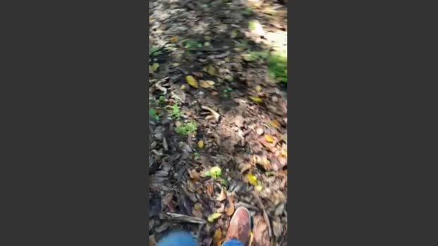 aragon5752 11-10-2025 Recorded Video sexykitty