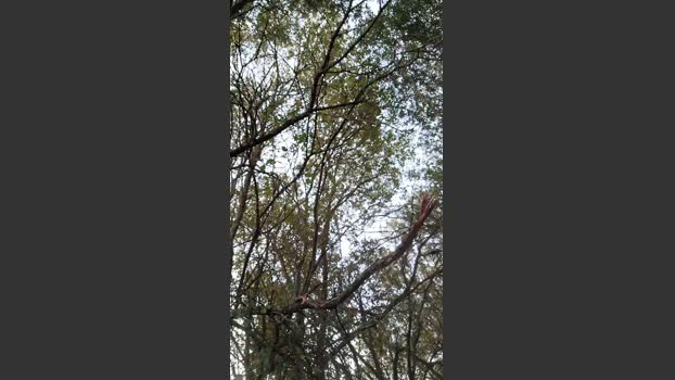 caralhodur10 10-10-2025 Recorded Video sexykitty