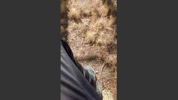 polli_play 11-10-2025 Recorded Video fingers
