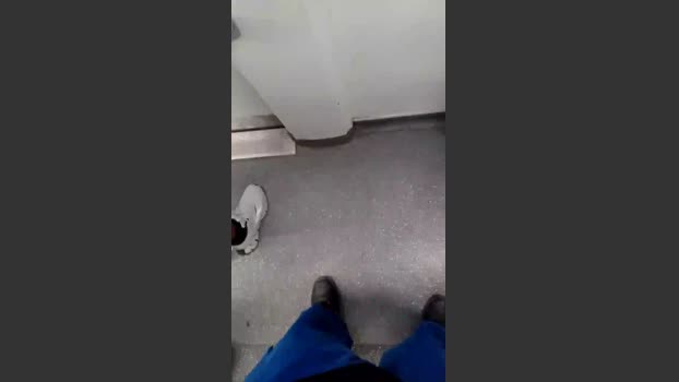 elmorocho26 11-10-2025 Recorded Video suckcock