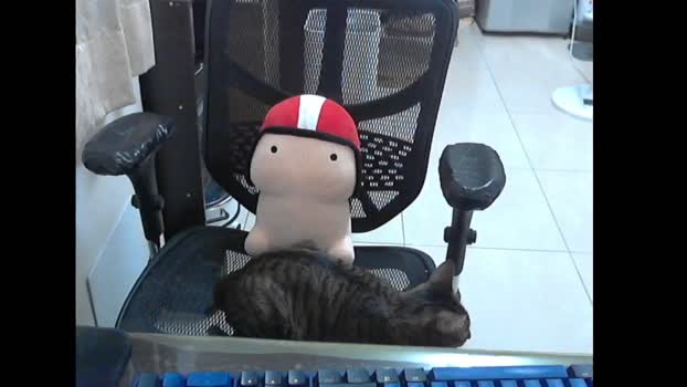 lQAQl 12-10-2025 Recorded Video hard