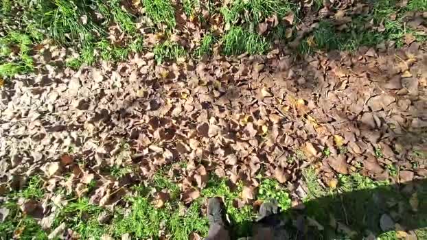 remi06 12-10-2025 Recorded Video fuckhard