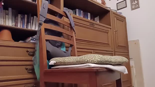 weed_whacker 11-10-2025 Recorded Video amateur