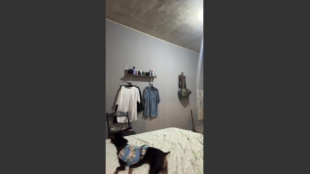 Dobromx 13-10-2025 Recorded Video jerkoff