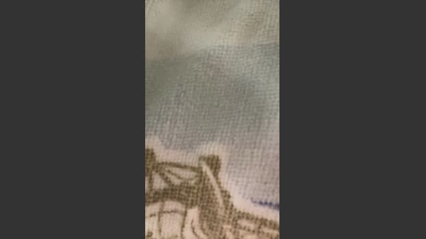 Infjb 13-10-2025 Recorded Video Topless