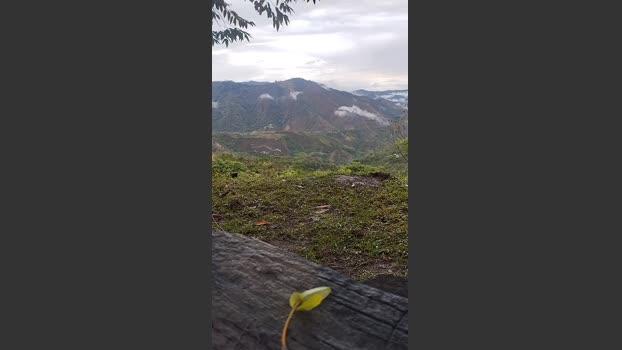 Remote_live 12-10-2025 Recorded Video beautiful