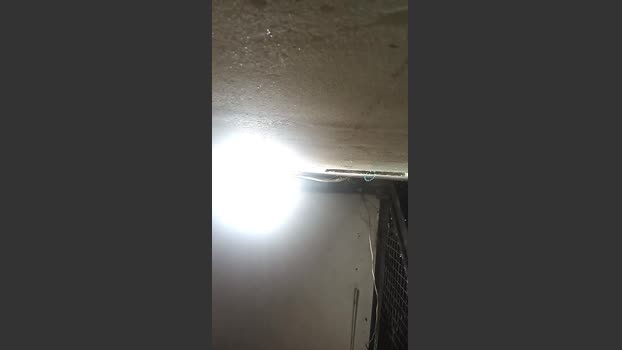 Seaasi 13-10-2025 Recorded Video bigballs